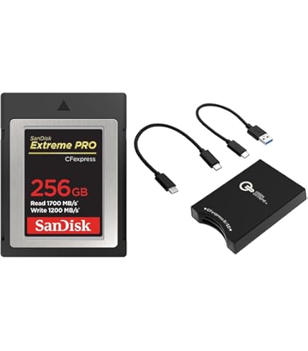 Amazon.com: SanDisk Extreme PRO 512GB CFexpress Type-B Memory Card